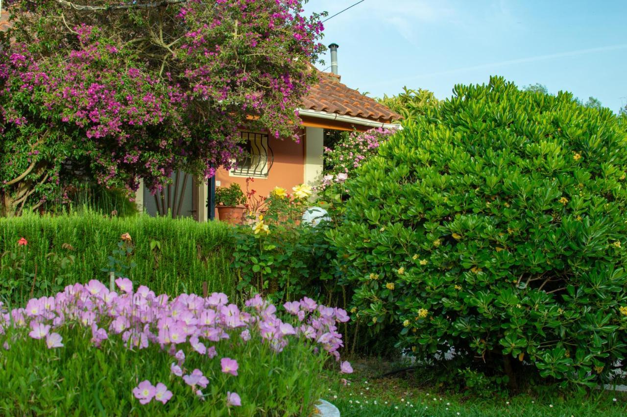 Rose Garden Villa Melíkia Eksteriør billede