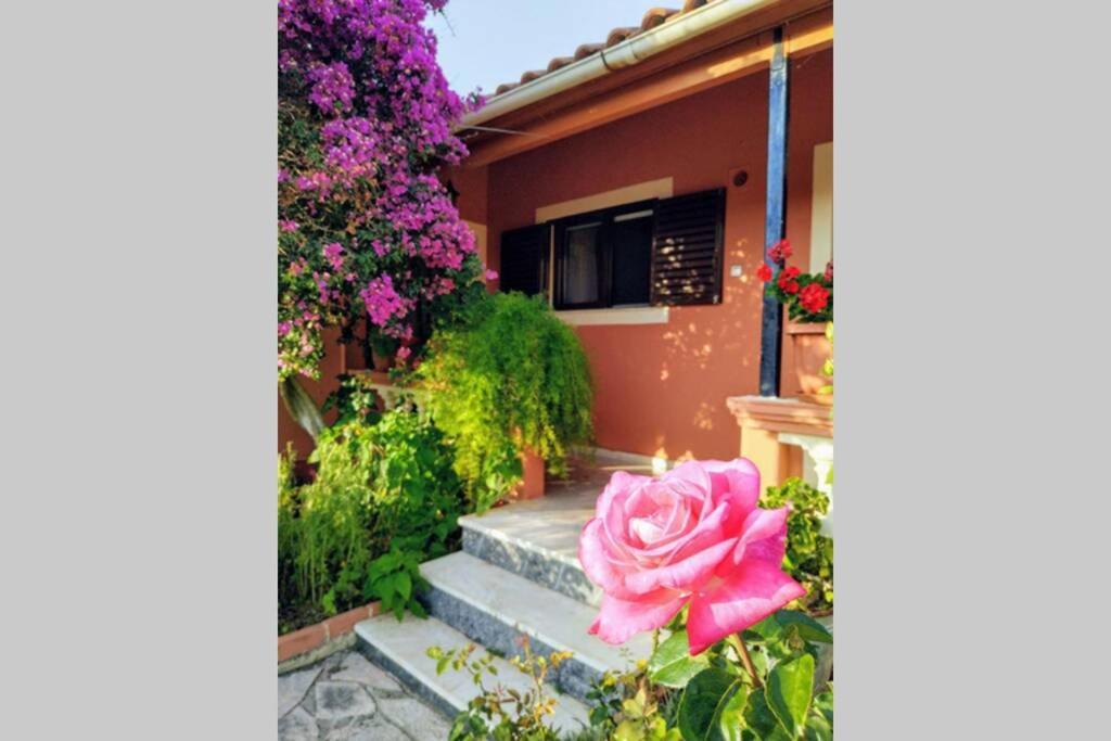 Rose Garden Villa Melíkia Eksteriør billede